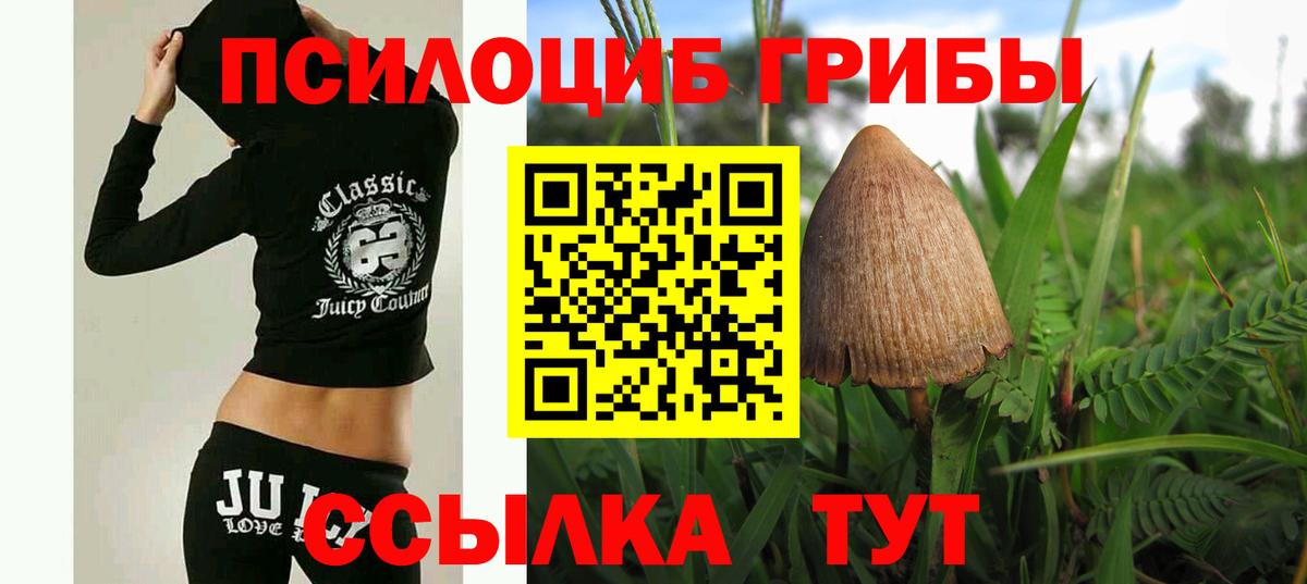 Псилоцибиновые грибы Psilocybe Электросталь